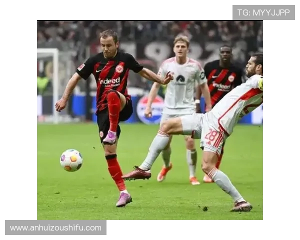 霍芬海姆迎战海登海姆克拉马里奇曹法尔首发阿尔扬伊布拉希莫维奇多施登场